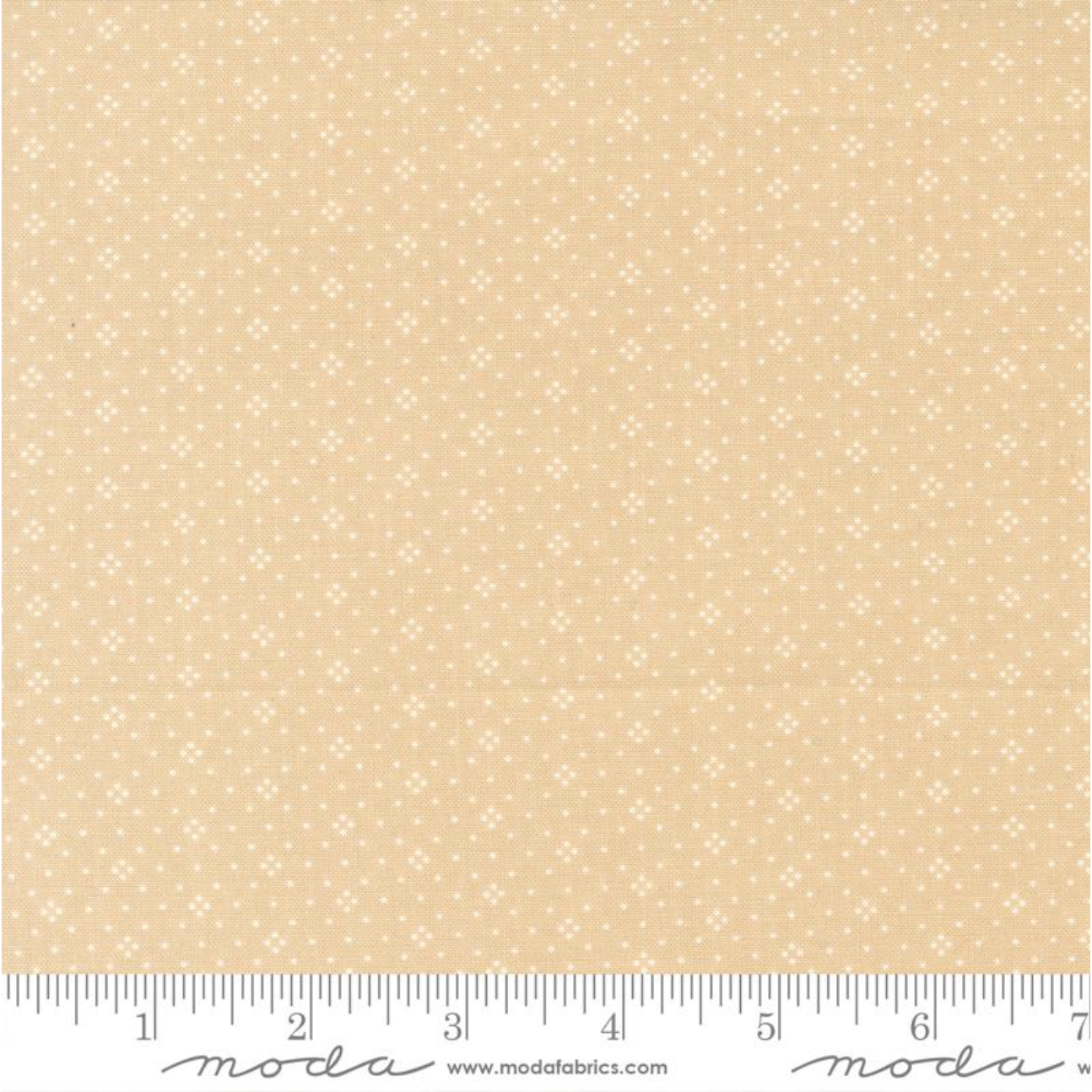 Eyelet ~ Latte 20488 62