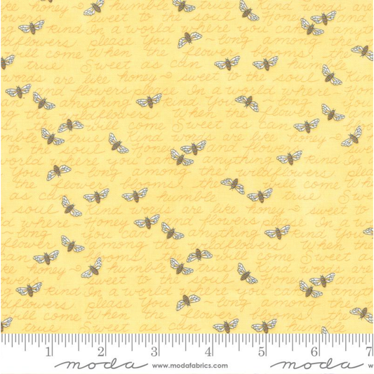Honey Lavender ~ Honey 56084 12