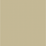 Cross Stitch Texture ~ A 806 N2 Oat