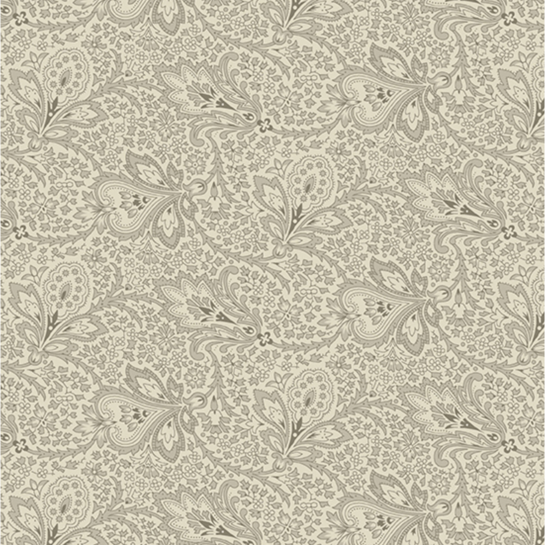 Tradewinds ~ A 811 L Paisley