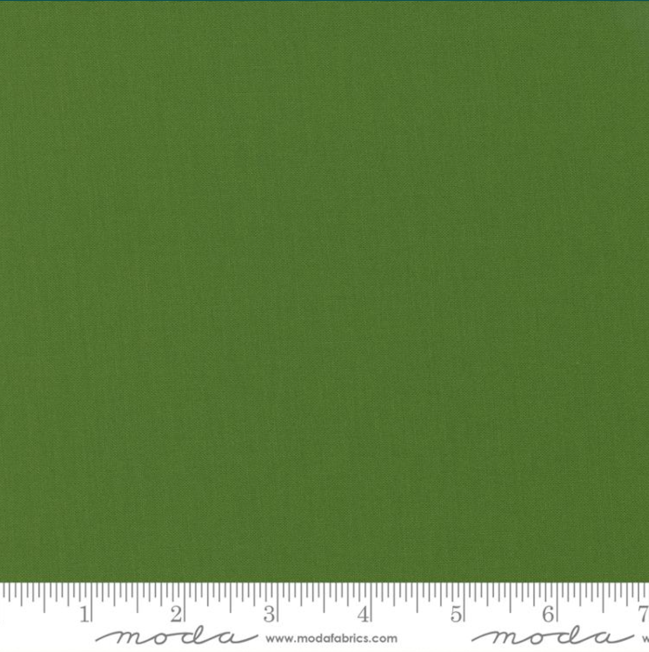 Bella Solids ~ Evergreen 9900 234