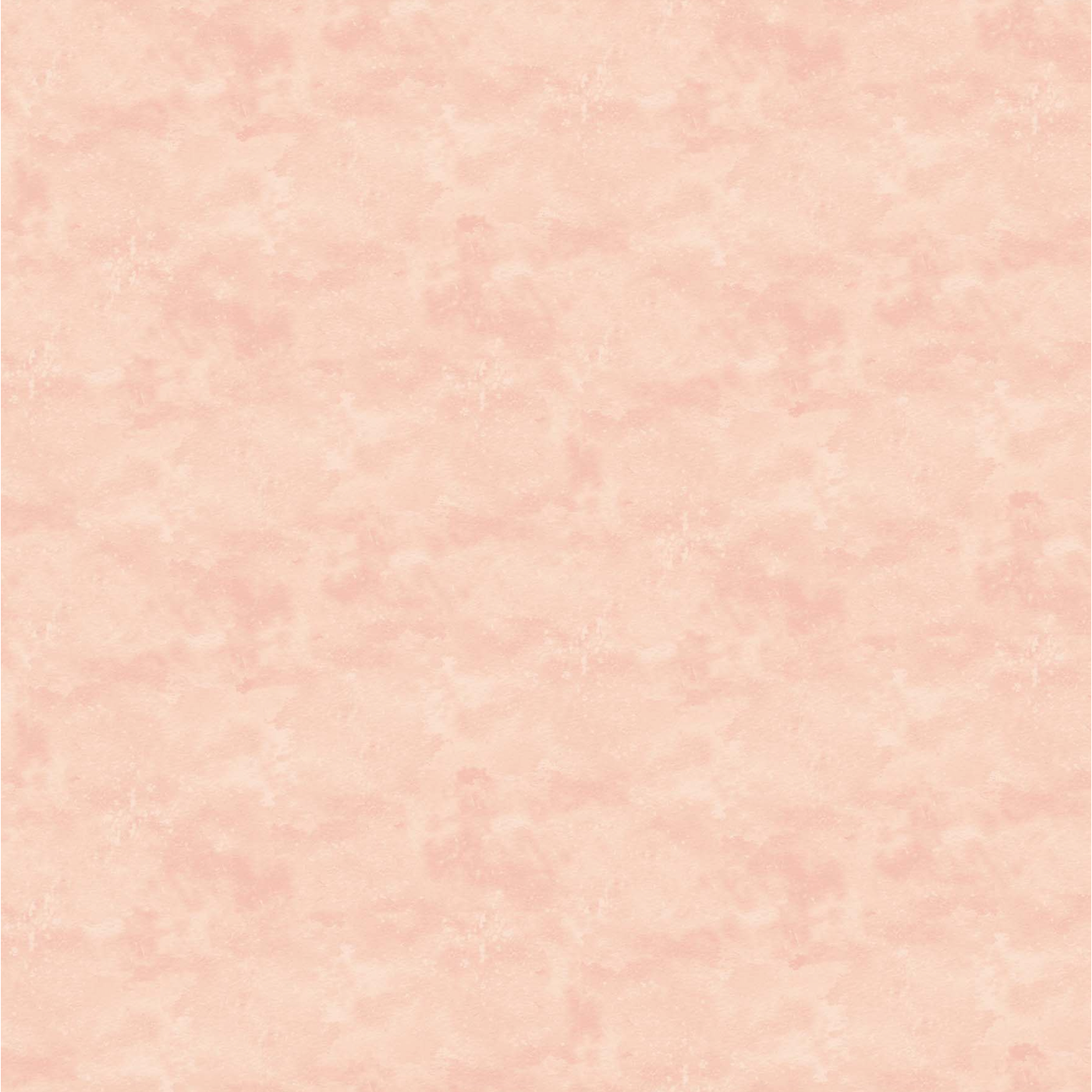 Toscana ~ Ballet Slipper ~ 9020-210