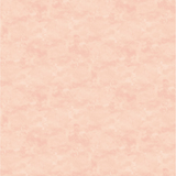 Toscana ~ Ballet Slipper ~ 9020-210