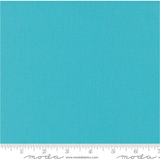 Bella Solids ~ Seafoam 9900 191