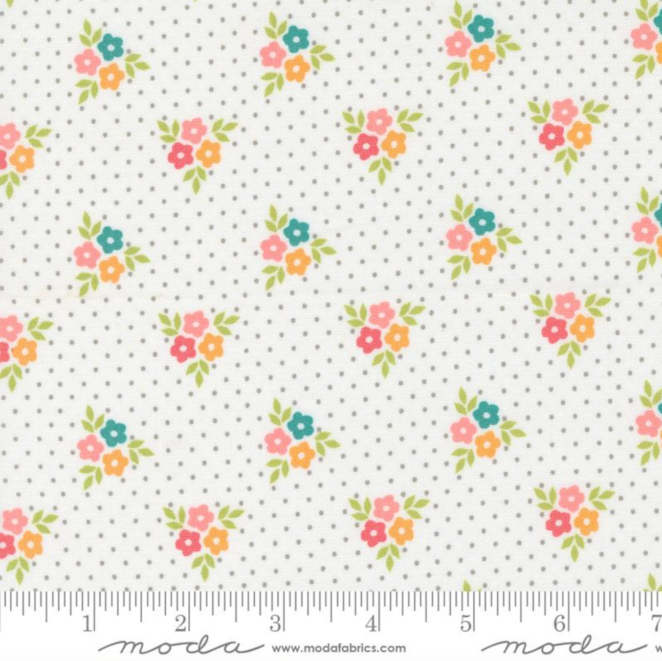 Strawberry Lemonade ~ Bouquets Florals Dots ~ Cloud 37672 11