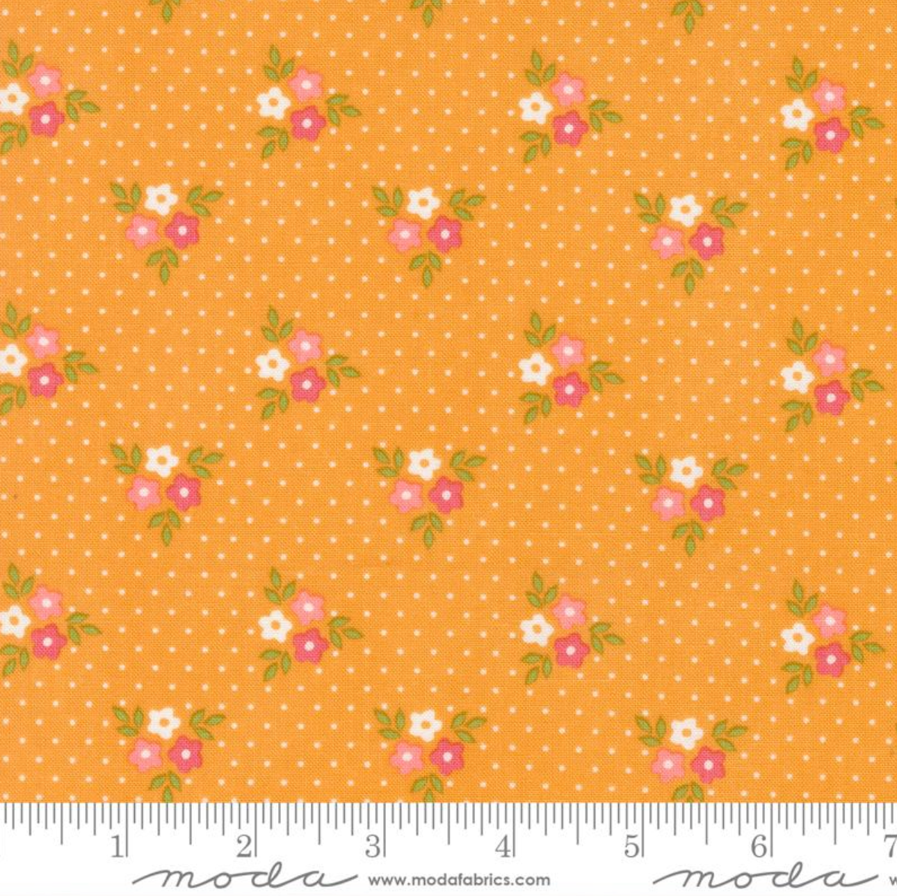 Strawberry Lemonade ~ Bouquets Florals Dots ~ Apricot 37672 16