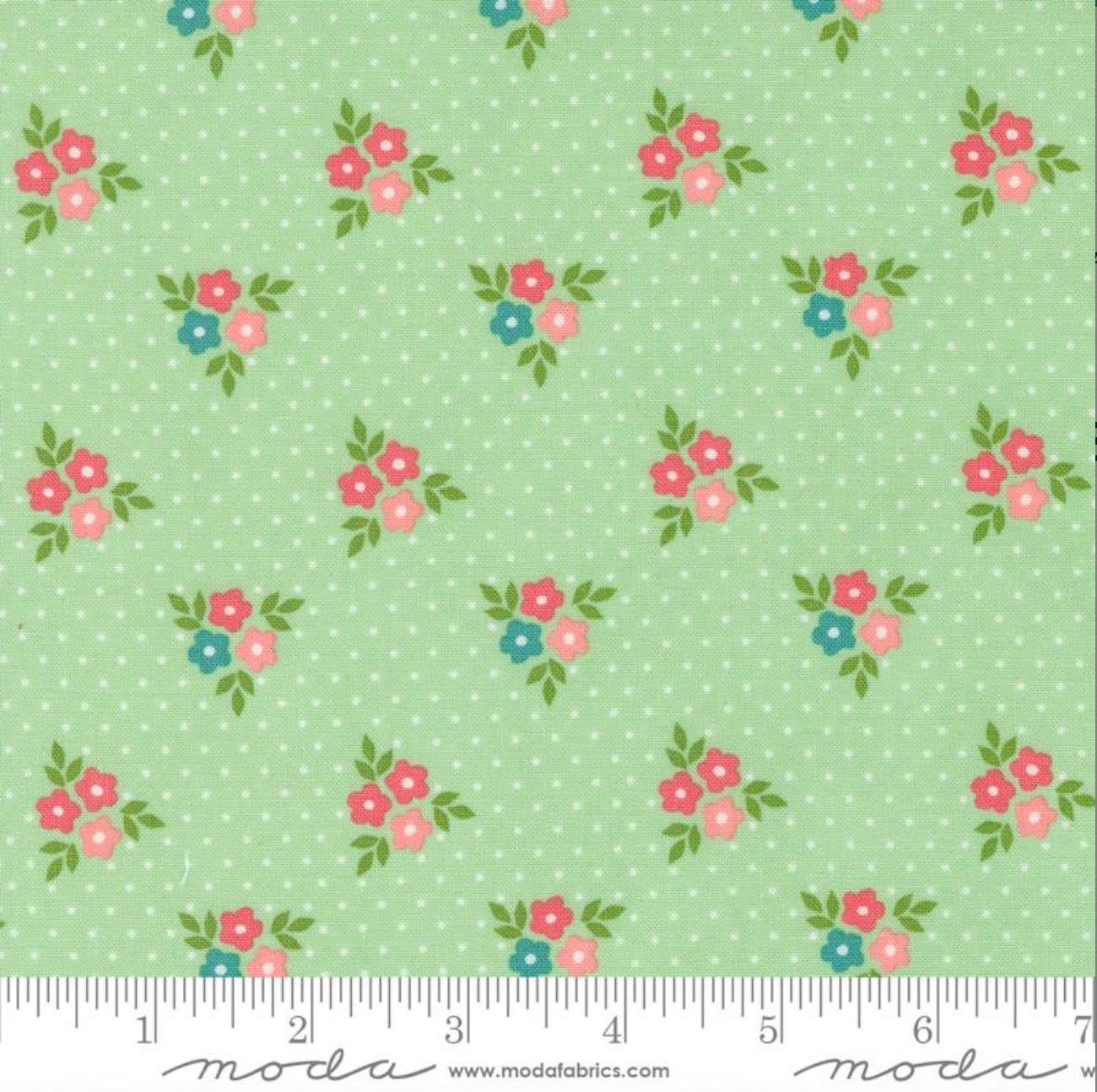 Strawberry Lemonade ~ Bouquets Florals Dots ~ Mint 37672 17