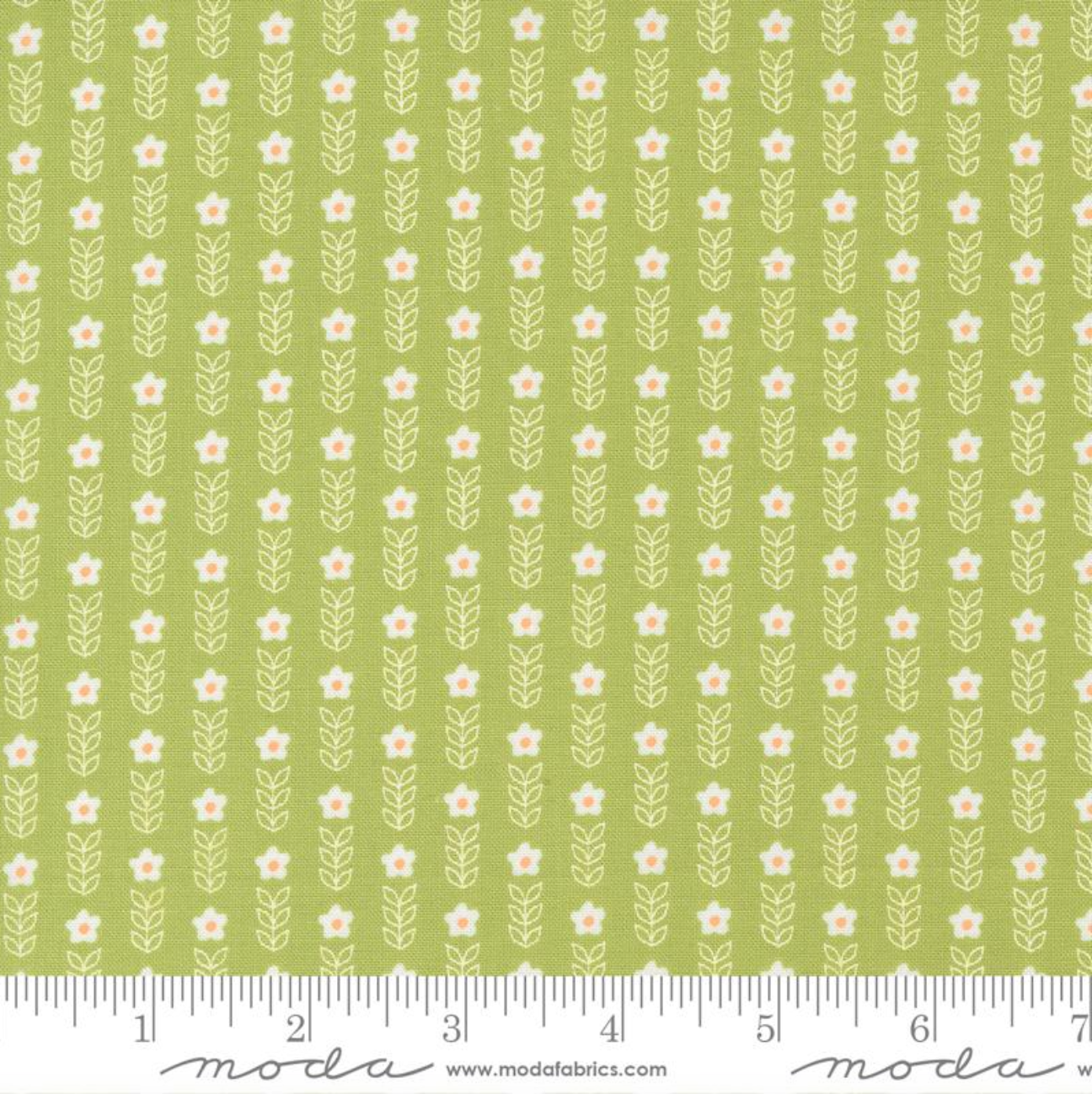 Strawberry Lemonade ~ Blooms Small Floral Stripe ~ Lime 37673 19