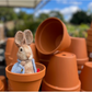 The Crafty Kit Company | Beatrix Potter - Peter Rabbit and His Pocket Handkerchief Needle Felting Kit