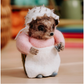 The Crafty Kit Company | Beatrix Potter - Mrs. Tiggy-Winkle Ironing Needle Felting Kit