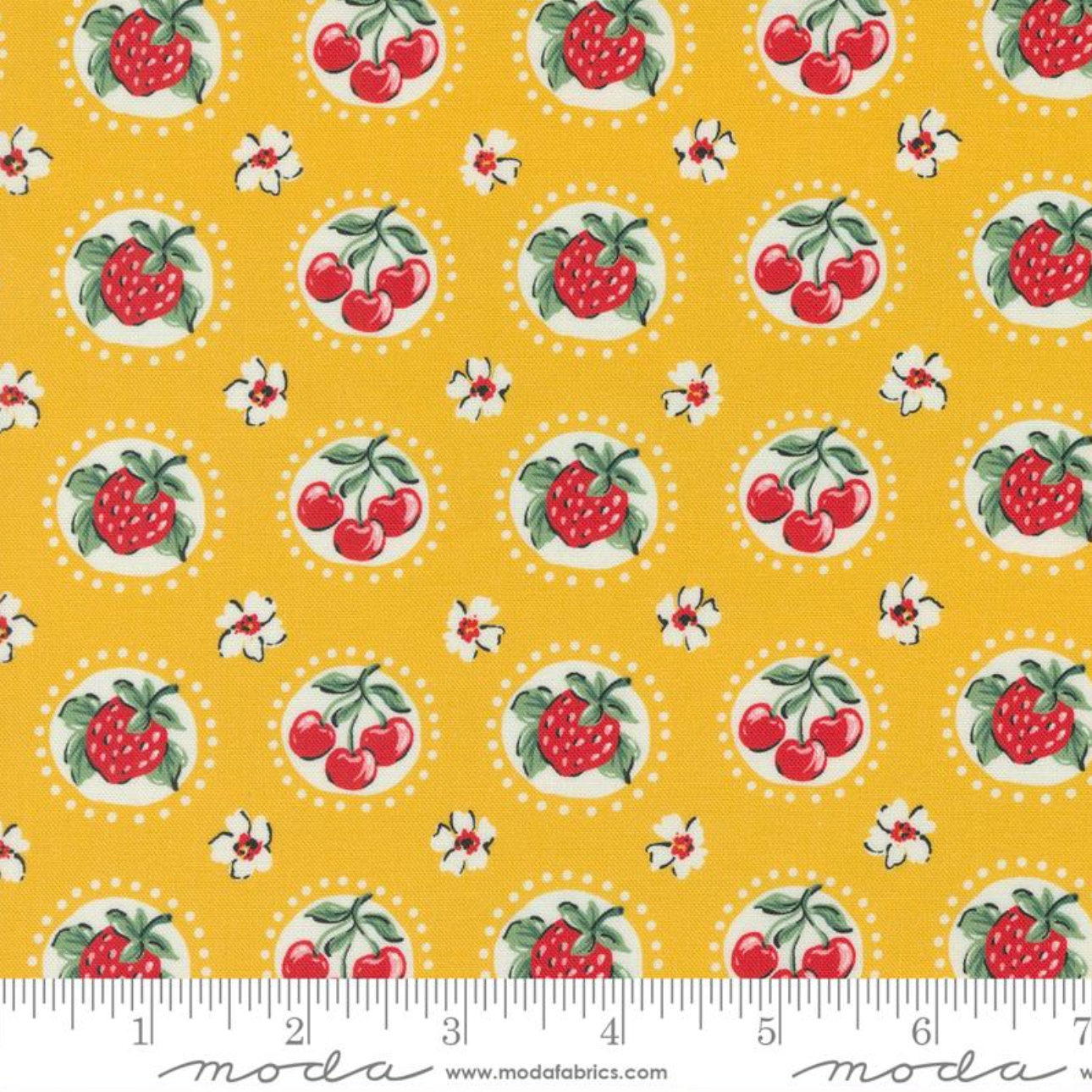 Julia ~ Shortcake ~ 11924 21 Lemon Zest