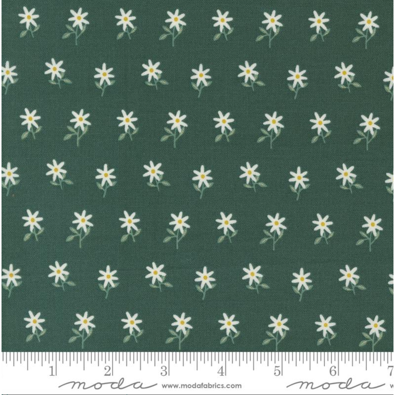 Imaginary Flowers ~ Wispy Flowers ~ 48384 16 Spruce ~ One Yard