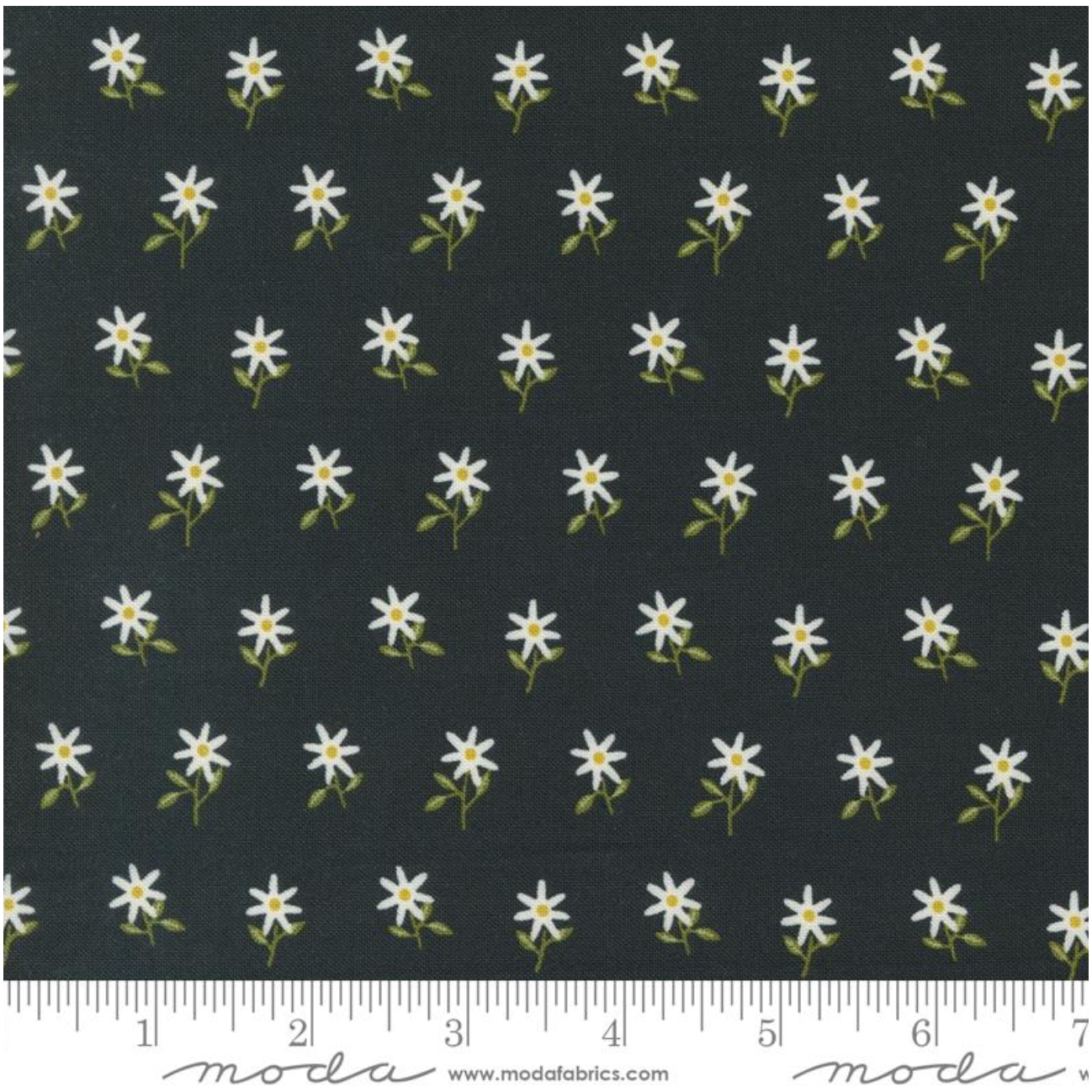 Imaginary Flowers ~ Wispy Flowers ~ 48384 21 Ebony ~ One Yard