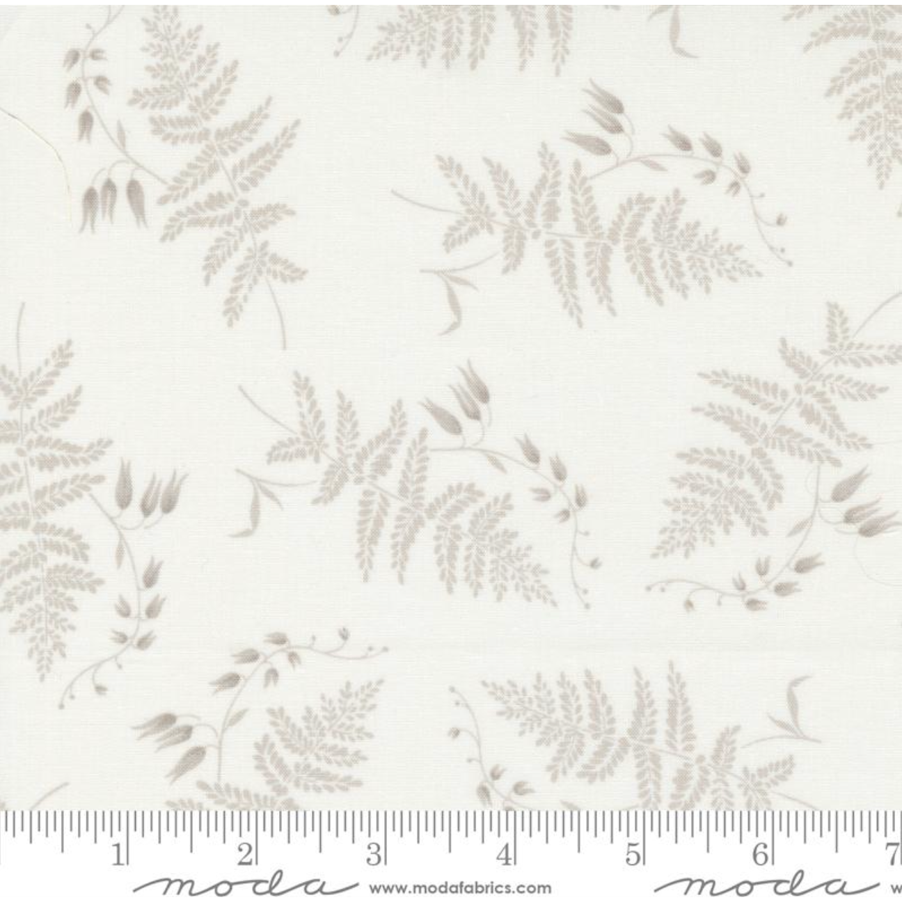 Honeybloom ~ Fern Fronds ~ 44341 11 Milk