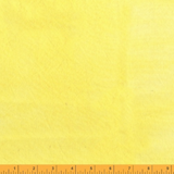 Palette Solids ~ 37098 14 Duckling