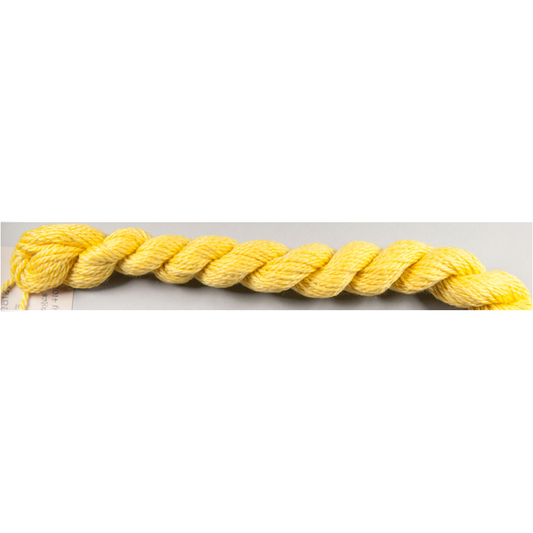 Maize 241