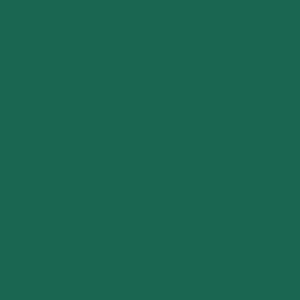 24/7 Solids ~ T4878-445-Spearmint