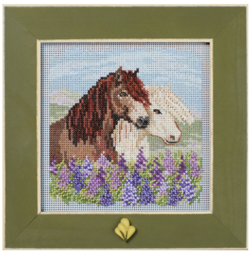 2024 Buttons & Beads Spring Series | Icelandic Horses