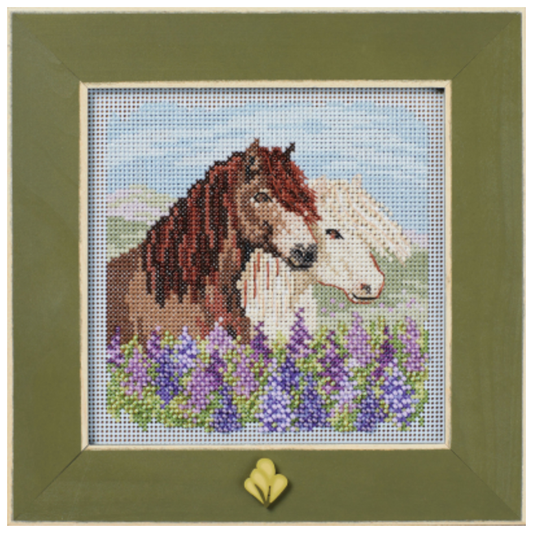 2024 Buttons & Beads Spring Series | Icelandic Horses