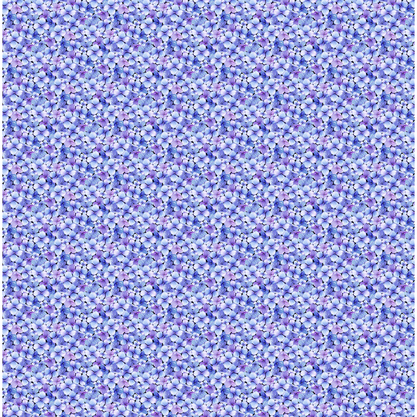 Rhapsody in Blue ~ Packed Petals ~ 27070  42 Blue Purple