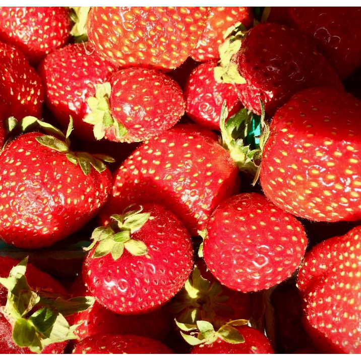 Kids Garden in A Bag | Strawberry