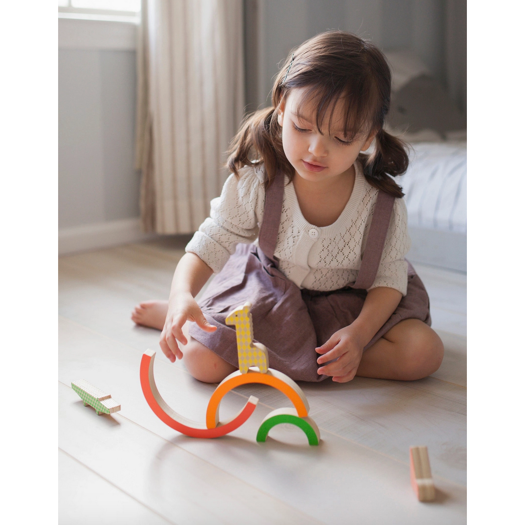 Wild Rainbow Wooden Balancing Game