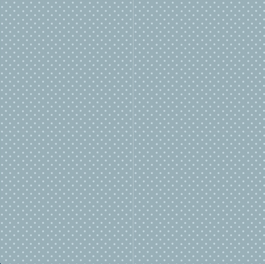 Winer Grdens ~ Swiss Dot ~ Y4130-103 Light Teal