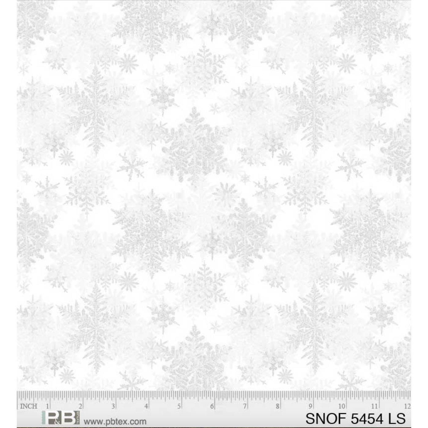 Snowfall ~  05454 LS