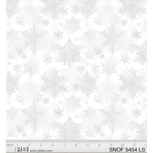 Snowfall ~  05454 LS