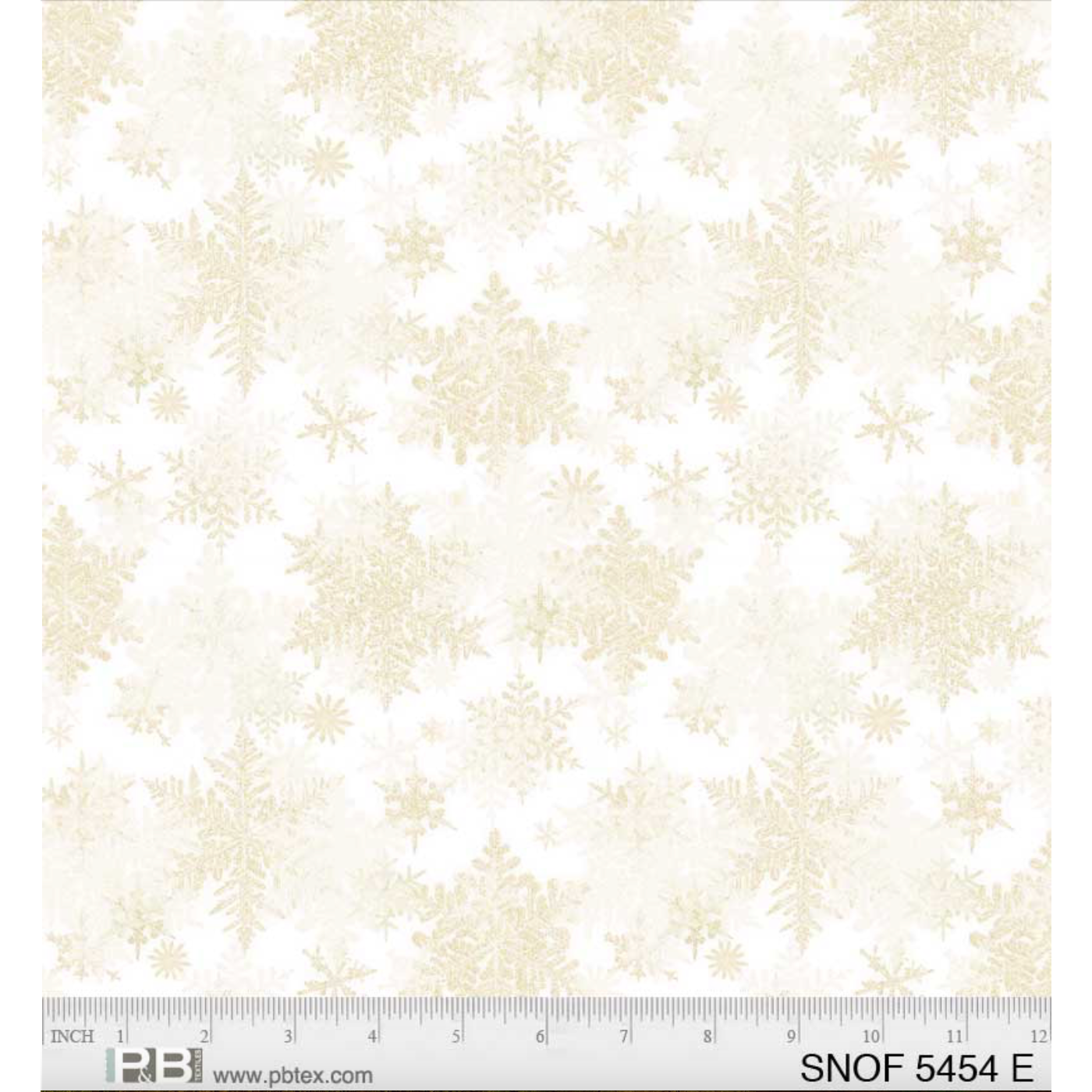 Snowfall ~  05454 E