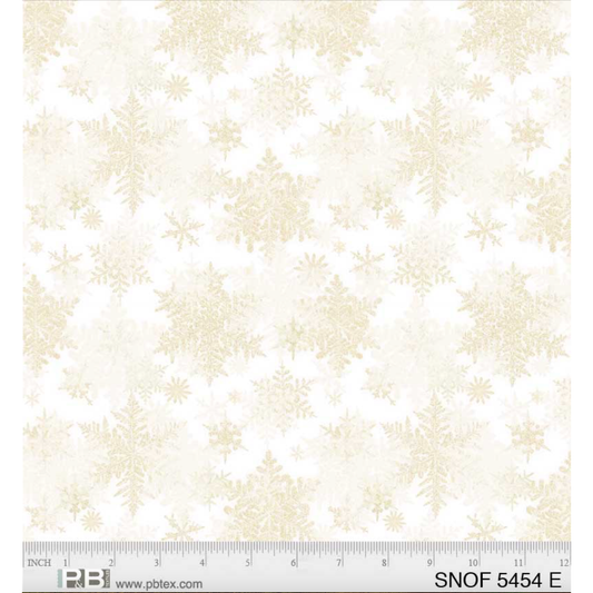 Snowfall ~  05454 E