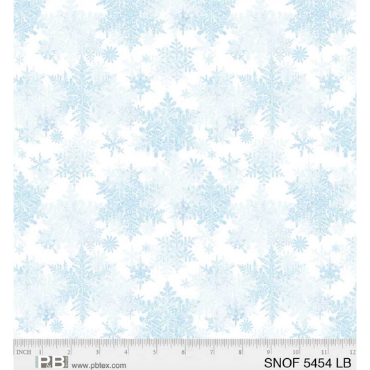 Snowfall ~  05454 LB