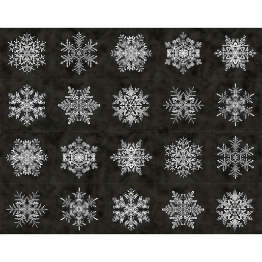 Bentley's Snowflakes ~ Snowflake Panel ~ R650952D  Charcoal