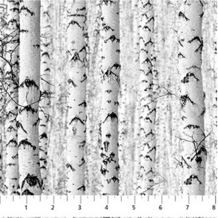 Solitude Naturescapes ~ Birch Trees ~ 26775-91 Grey