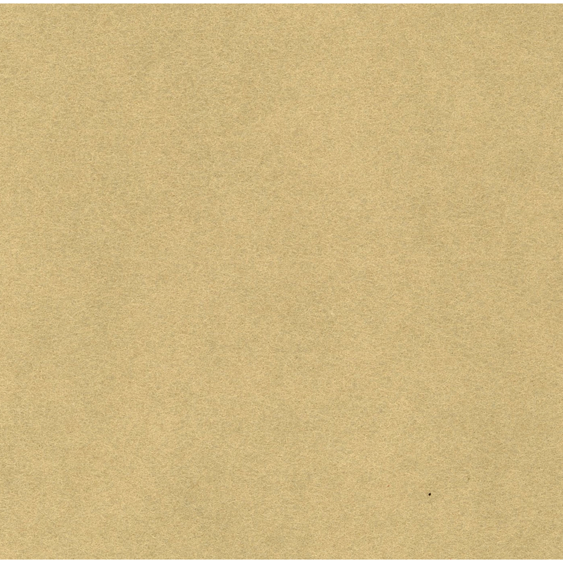 National Nonwovens Wool Felt | Beach Sand