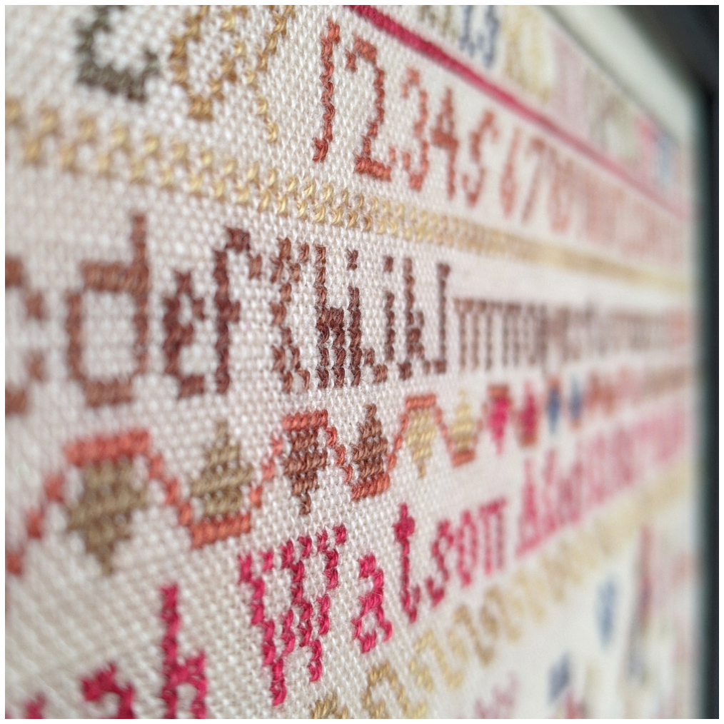 Whilst Iris Naps | Sarah Watson 1859 Reproduction Sampler