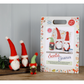 The Crafty Kit Company | Santa Gnomes Needle Felting Craft Kit