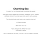 Noteworthy Needle | Charming Sea with Charms MARKET 2025