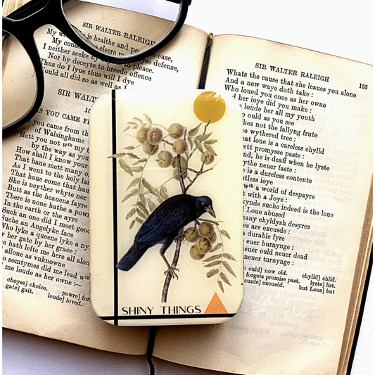Tin Container with Magnet Large | Black Crow, Shiny Things