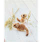 Pom-Pom Forest Animals : Craft An Artisan Yarn Menagerie