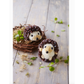 Pom-Pom Forest Animals : Craft An Artisan Yarn Menagerie