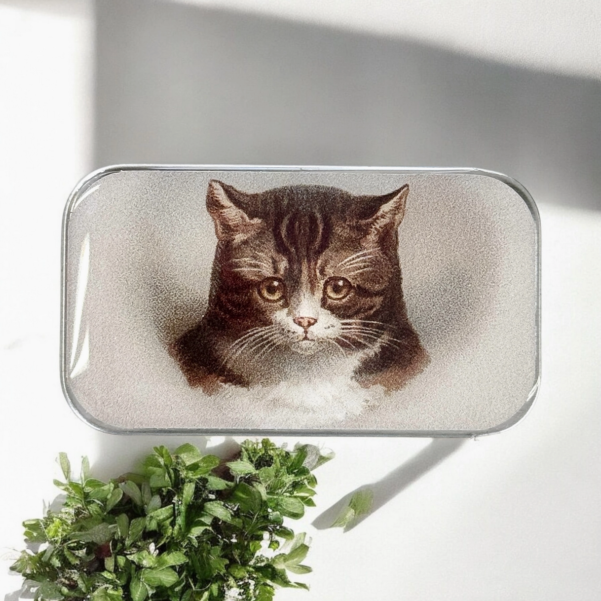 Tin Container Small  | Cat