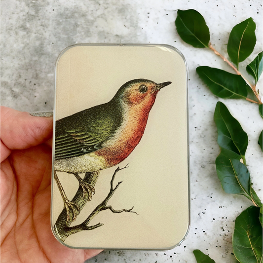 Tin Container with Magnet Large | Robin