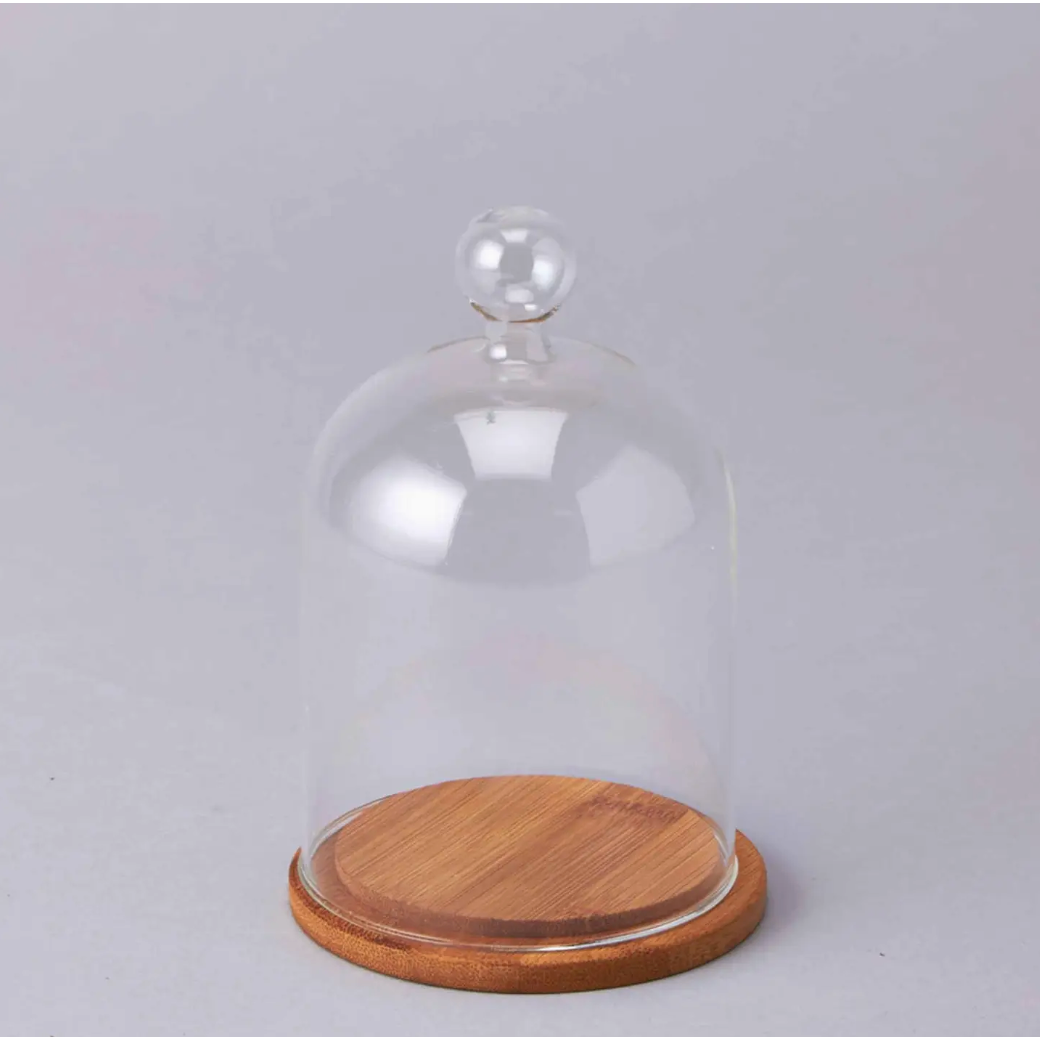 Glass Cloche with Wood Base 6.25" Tall