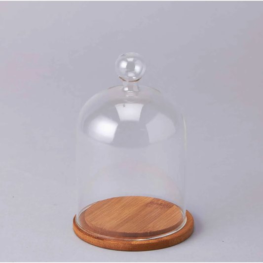 Glass Cloche with Wood Base 6.25" Tall