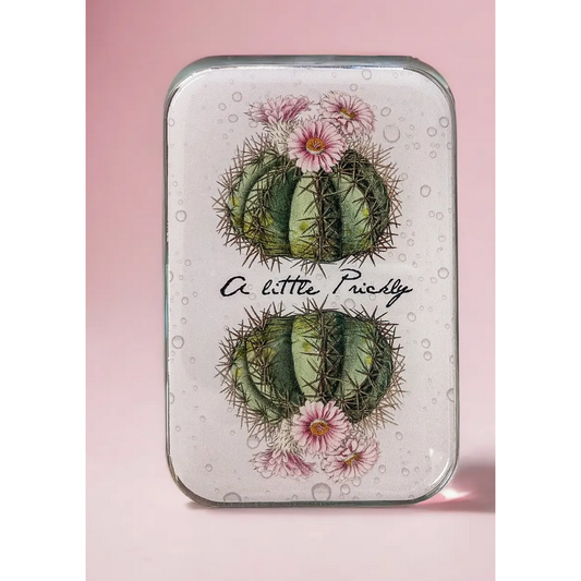 Tin Container with Magnet Large | Cactus