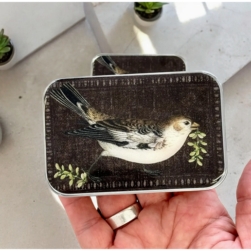 Tin Container with Magnet Large | Birdsong