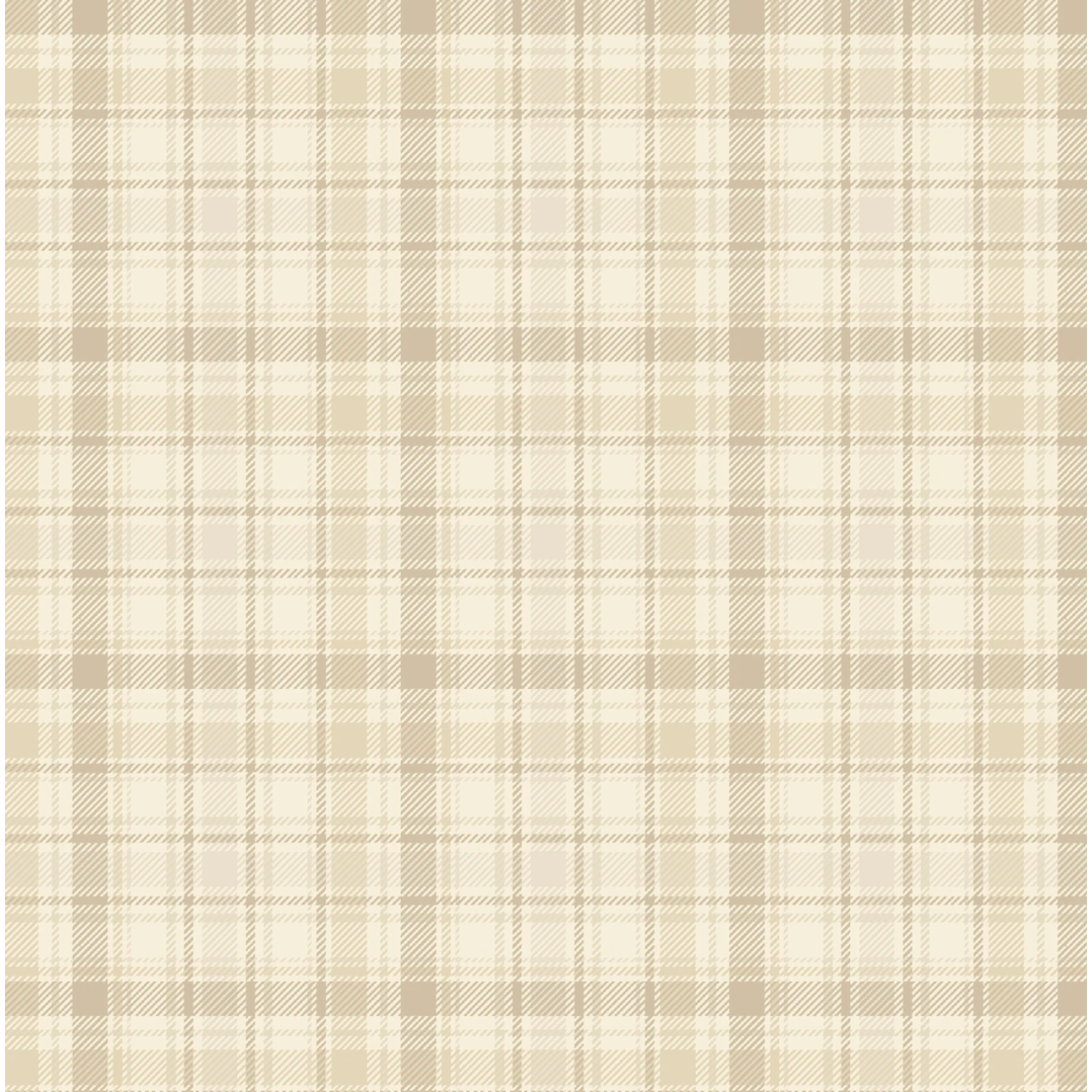 Toolbox Primo Plaid Flannel ~ PP541503-BEIGE