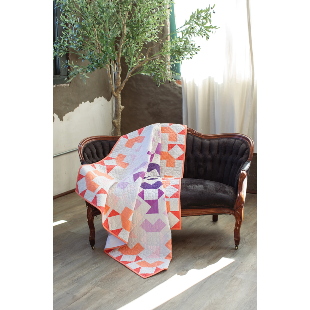 Amber Elliot ~ Quilts in Modern Color Book