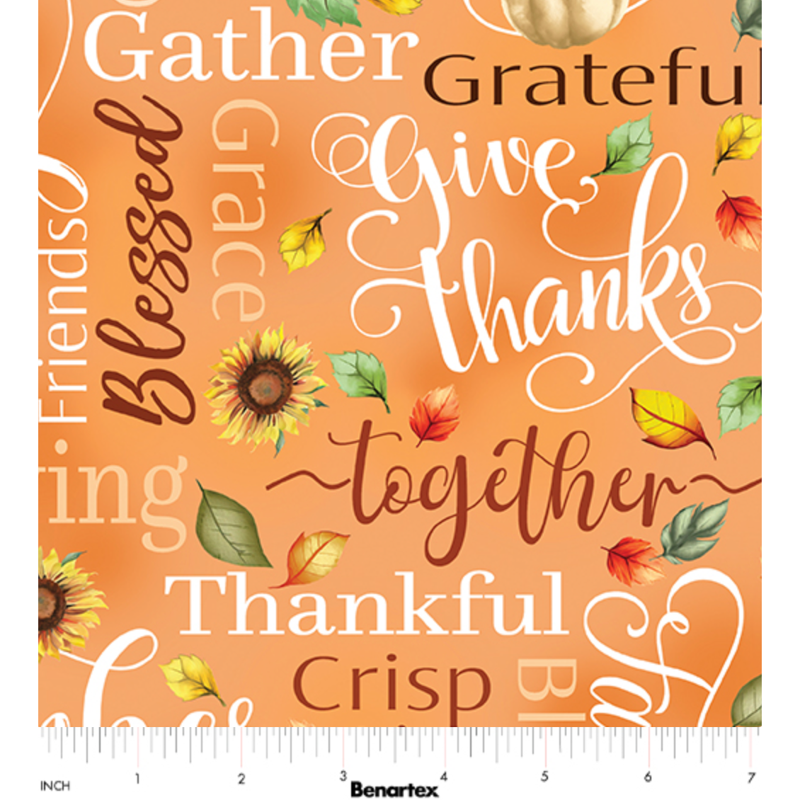 Give Thanks ~ Thankful Words 14935-38 Orange